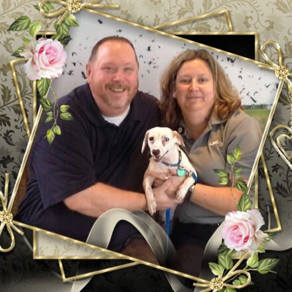 Meet your Posher, Lisa - Picture 1 of 1